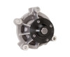 Ford 4.6L Water Pump - Short