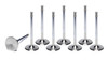 SBF 1.900 C/6 Intake Valves 5.075 OAL