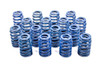 604 Beehive Valve Springs 16