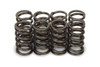 .815 Valve Spring Set Inner (8pk)