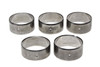 Camshaft Bearing Set