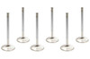 Buick V6 S/D 1.500in Exhaust Valves