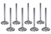 BBC SD Intake Valves 2.065 11/32 5.218 OAL