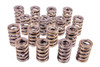 1.244 Dual Valve Springs (16)