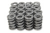 1.500 Dual Valve Springs (16)