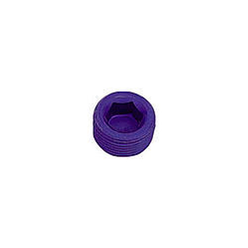 1/8in Allen Head Pipe Plug (2pk)