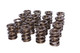 Dual Valve Springs 1.550 Dia. (.815 ID.)