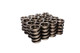 Hi-Tech 1.550 Dia. Dual Valve Springs- W/Damper