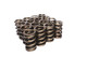 Hi-Tech 1.550 Dual Valve Springs-.810 ID. Pacaloy