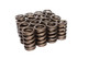 1.254 Dia. Outer Valve Springs- With Damper