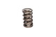 1.437 Dia. Dual Valve Springs- .695 ID.