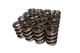 1.550 Dia. H-11 Dual Valve Springs- .710 ID.