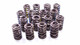 SBC LS1 Valve Springs