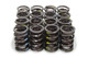 1.449 Dia Dual Valve Springs