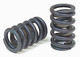 Valve Springs