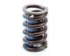 SBC 1.25in Claimer Valve Spring