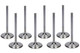 SBC C/P 2.125 Intake Valves