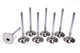 SBC C/P 1.940 Intake Valves