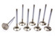 Ford 351C C/6 1.650 Exhaust Valves