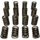 Dual Valve Springs - 1.514