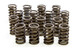 1.260in Valve Springs