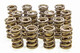 1.625 Valve Springs