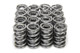 1.570 Dual Valve Spring Set w/Damper (16pk)