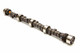 SBC Hydraulic Camshaft H245-255