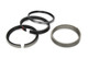 Piston Ring Set 4.030 Moly 1/16 1/16 1/8