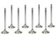 Mopar 6.1L Hemi R/M 1.595 Exhaust Valves