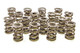 1.550 Dual Valve Springs - (16)