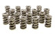 1.550 Dual Valve Springs - (16)