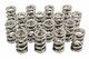 1.274 Dual Valve Springs - (16) GM LS