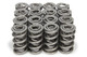 1.550 Dual Valve Springs (16)