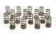 1.250 Valve Springs - Ovate Beehive (16)