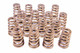 1.454 Valve Springs - Ovate Beehive (16)