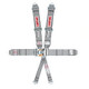 6 Pt Harness System F/X P/D B/I