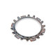 9in Pinion Tail Bearing Retainer