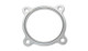 Discharge Flange Gasket for GT series 3in