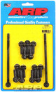 LS1/LS2 Oil Pan Bolt Kit 12pt.