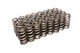 Beehive Valve Spring - 1.105in Single