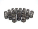 Valve Springs - Beehive 1.415in