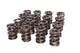 Dual Valve Springs 1.567 Dia. (.890 ID.)