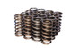 .937 Dia. Inner Valve Springs- .697 ID.