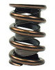 Valve Springs - Dual