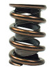 Valve Springs - Dual 1.500