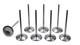 5//16 Intake Valves - 2.180