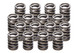 1.500in Valve Springs - BBC