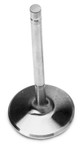 Intake Valve - 2.020in