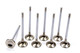 Acura C/P 28mm Exhaust Valves